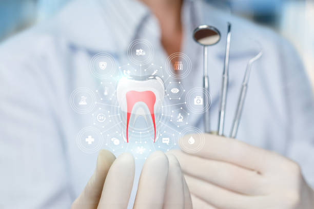 Best Preventive Dentistry  in Johnsburg, IL