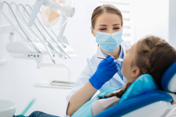 Trusted Johnsburg, IL Holistic Dental Care Services Experts